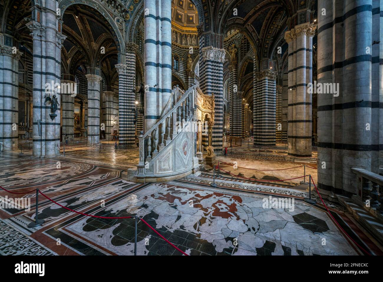 Blick vom Chor ins Kirchenschiff, Kathedrale von Siena, Duomo Santa Maria Assunta, Siena, Toskana, Italien Stockfoto