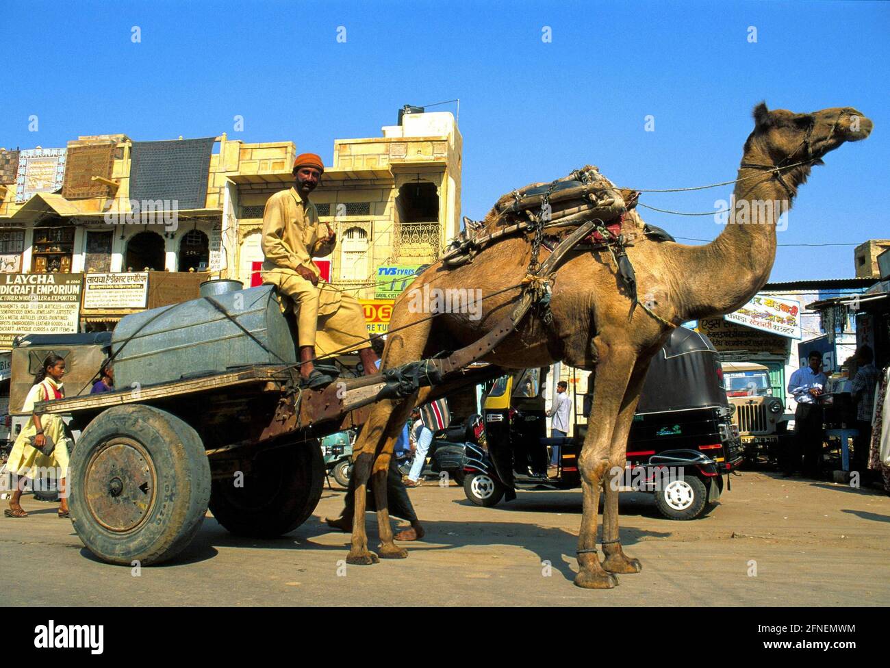 Das Kamel, ein Tier der Last und der Arbeit. Wie in allen Wüstenregionen der Welt haben auch die Bewohner der Thar-Wüste in Indien den praktischen Einsatz dieser Tiere erkannt, wenn auch für ganz moderne Zwecke. [Automatisierte Übersetzung] Stockfoto