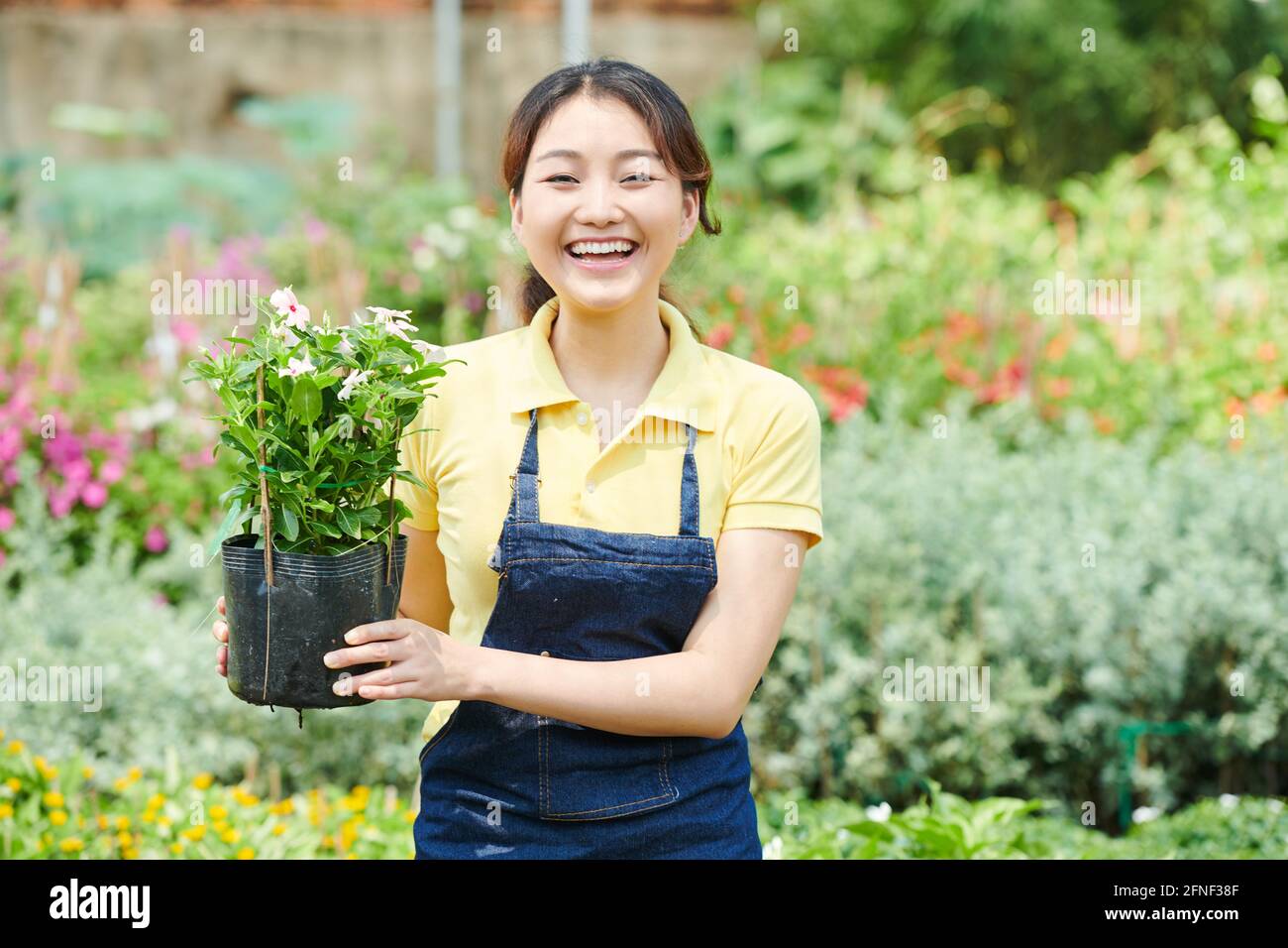 Glücklich aufgeregt junge Frau hält Topf mit blühenden Pflanze, wenn Stehen im Gartencenter Stockfoto
