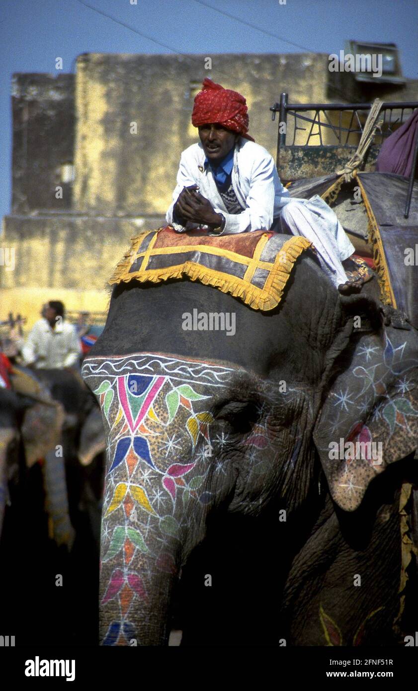 Indianer auf seinem Elefanten, dessen Kopf mit Ornamenten verziert und bemalt ist. [Automatisierte Übersetzung] Stockfoto