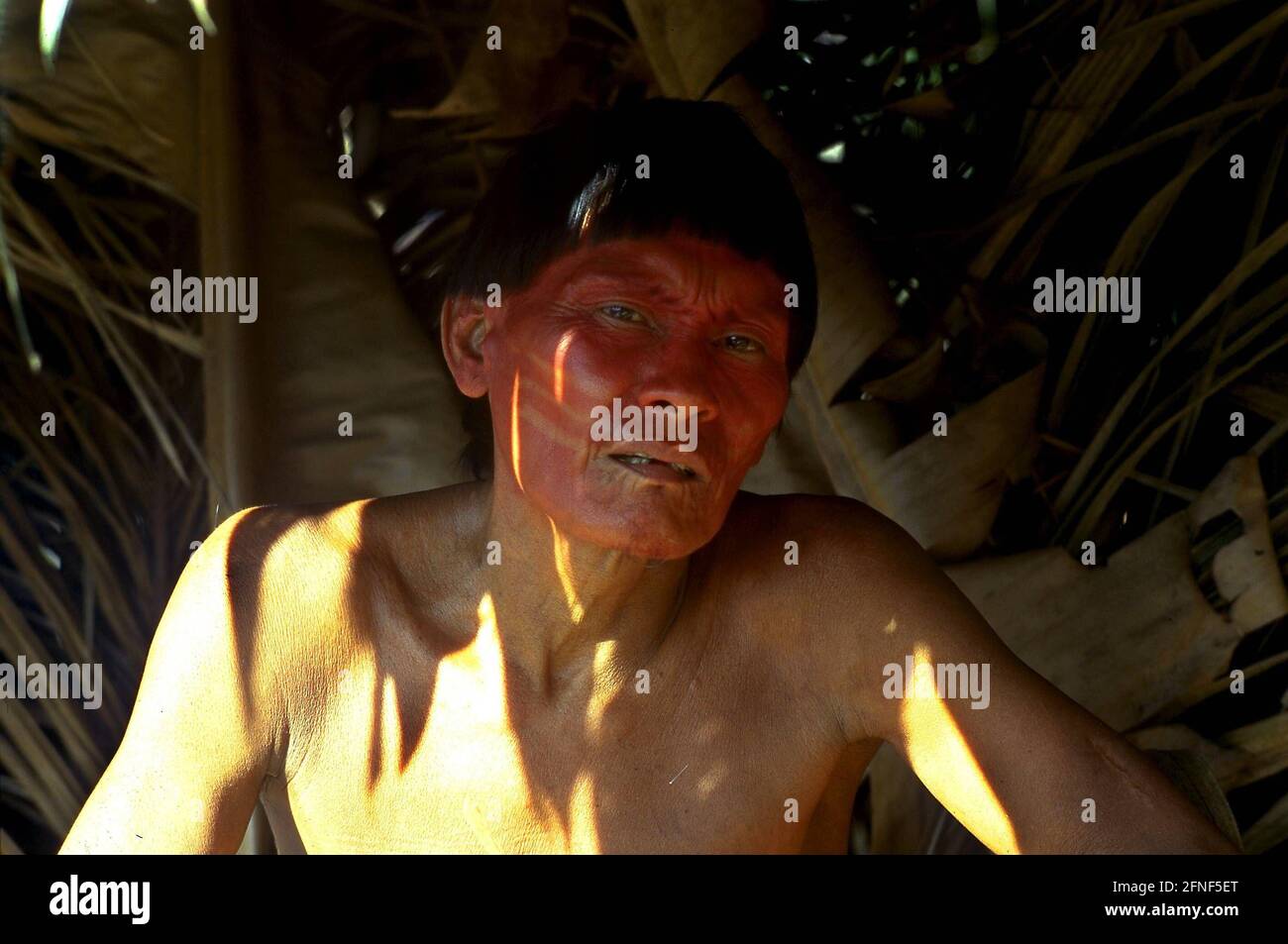 Porträt eines Schamanen des Yanomami-Stammes mit typischer Kriegsbemalung. [Automatisierte Übersetzung] Stockfoto