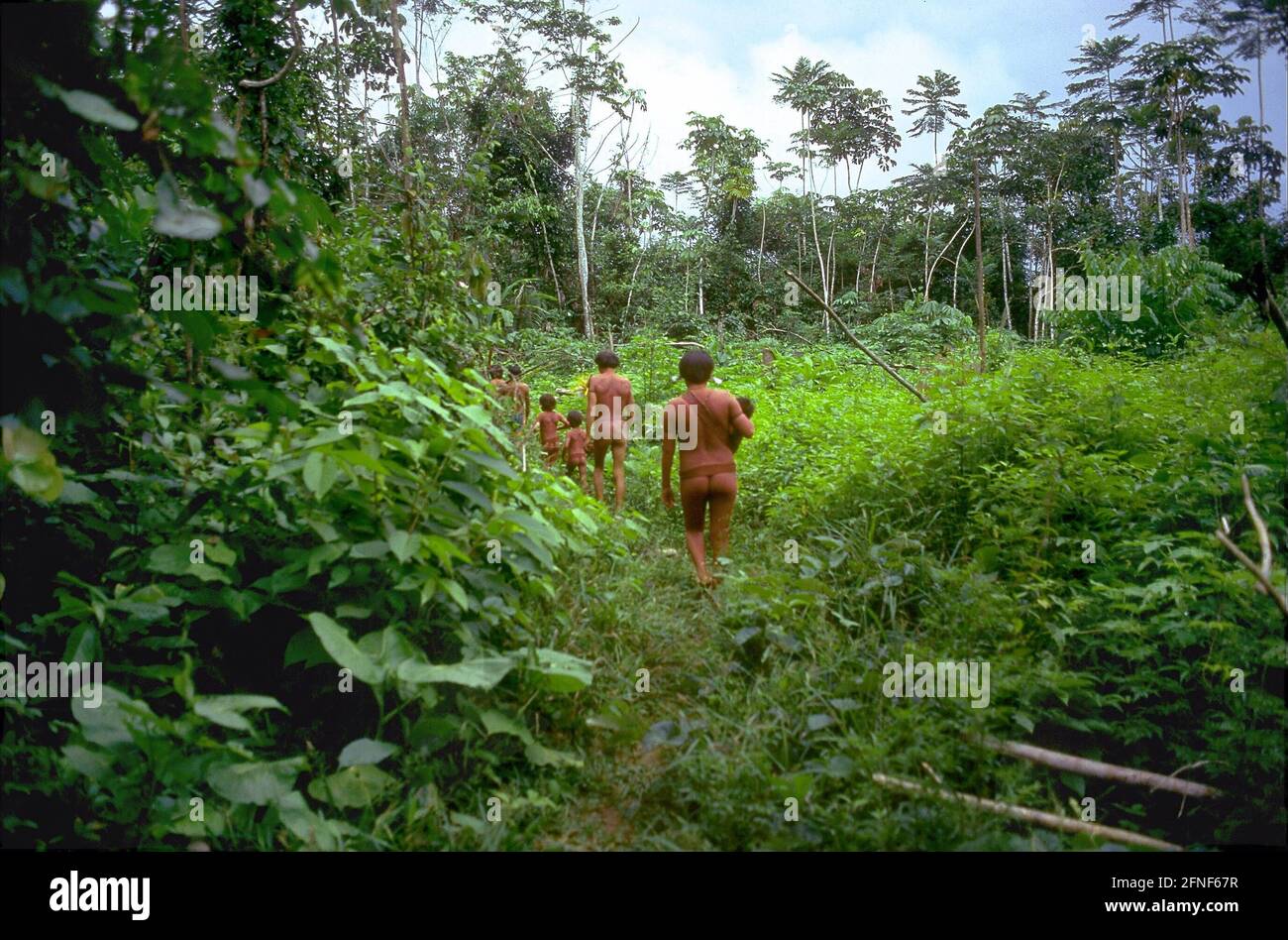 Mitglieder des Yanomami-Stammes wandern nacheinander auf einem Dschungelpfad. [Automatisierte Übersetzung] Stockfoto