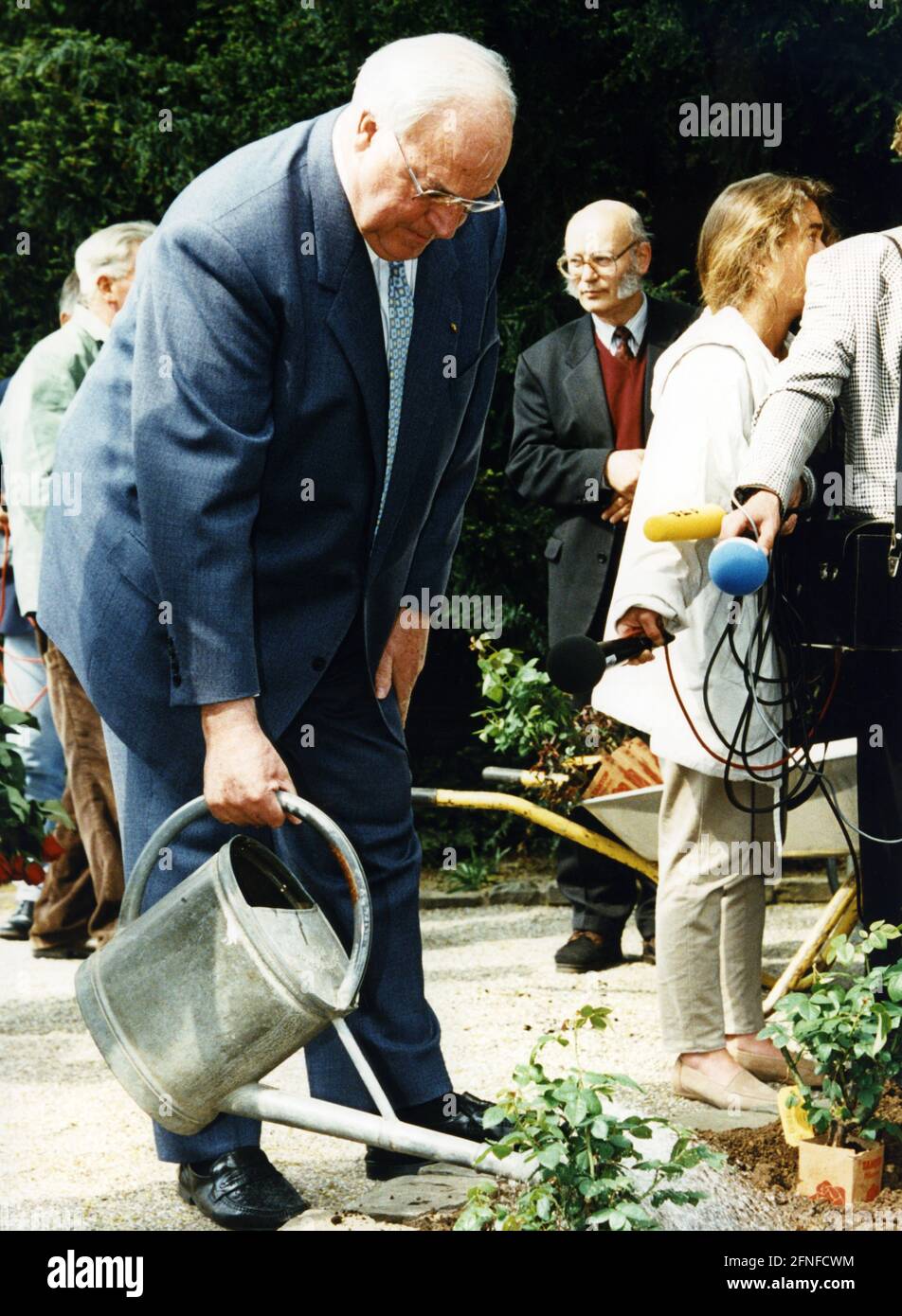Im Park des Bundeskanzleramtes in Bonn wässern Bundeskanzler Helmut Kohl eine nach ihm benannte Rosensorte. [Automatisierte Übersetzung] Stockfoto