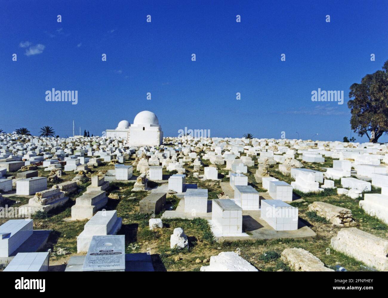 Ein tunesischer Friedhof mit Marabut, einem islamischen Sufi-heiligen. [Automatisierte Übersetzung] Stockfoto