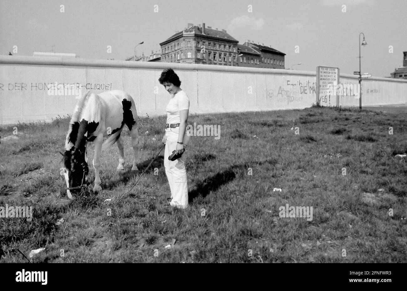 Berlin-Bezirke / DDR / Mauer / 1983 Kreuzberg, an der Adalbertstraße. Vor der Mauer grast ein Pferd. Dahinter liegt Berlin-Mitte. Kreuzberg, eigentlich ein innerstädtischer Stadtteil, liegt am Rande von West-Berlin. // Natur / Tiere / Geschichte / Ansichten des Kommunismus [automatisierte Übersetzung] Stockfoto