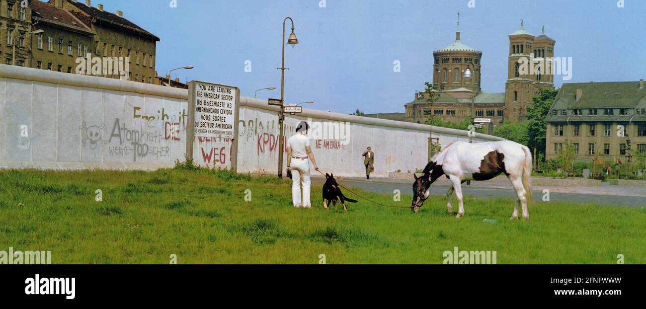 Berlin-Stadtteile / DDR-Mauer / 1983 Kreuzberg, an der Adalbertstraße. Vor der Wand grast ein Pferd. Dahinter liegt Berlin-Mitte. Kreuzberg, eigentlich ein innerstädtischer Stadtteil, liegt am Rande von West-Berlin. // Natur / Tiere / Geschichte / Kommunismus [automatisierte Übersetzung] Stockfoto
