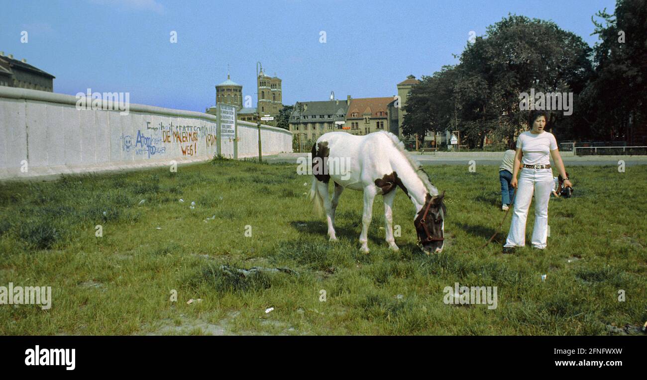Berlin-Stadtteile / DDR-Mauer / 1983 Kreuzberg, an der Adalbertstraße. Vor der Wand grast ein Pferd. Dahinter liegt Berlin-Mitte. Kreuzberg, eigentlich ein innerstädtischer Stadtteil, liegt am Rande von West-Berlin. // Natur / Tiere / Geschichte / Kommunismus [automatisierte Übersetzung] Stockfoto