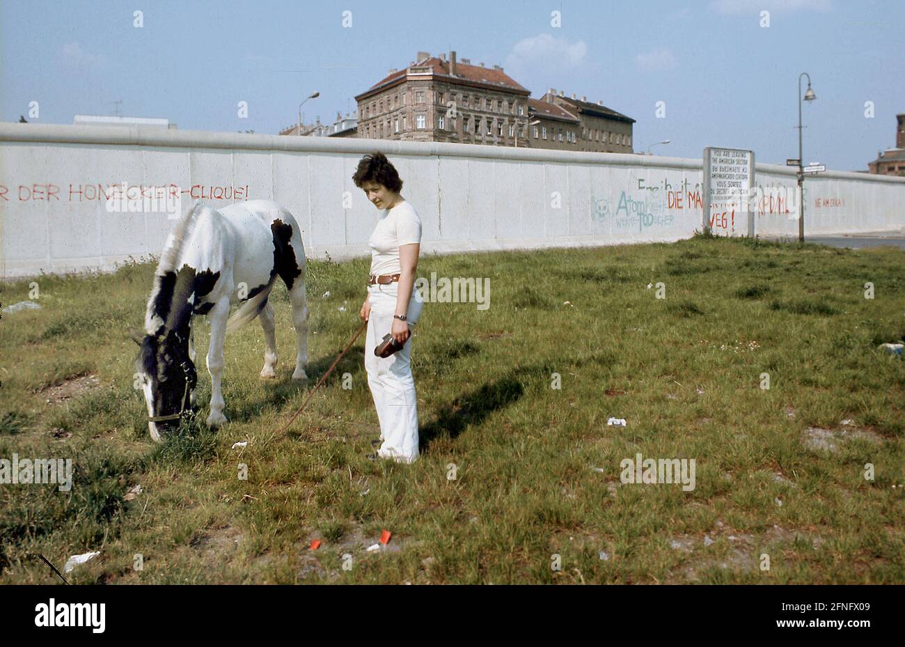 Berlin-Stadtteile / DDR-Mauer / 1983 Kreuzberg, an der Adalbertstraße. Vor der Wand grast ein Pferd. Dahinter liegt Berlin-Mitte. Kreuzberg, eigentlich ein innerstädtischer Stadtteil, liegt am Rande von West-Berlin. // Natur / Tiere / Geschichte / Kommunismus [automatisierte Übersetzung] Stockfoto