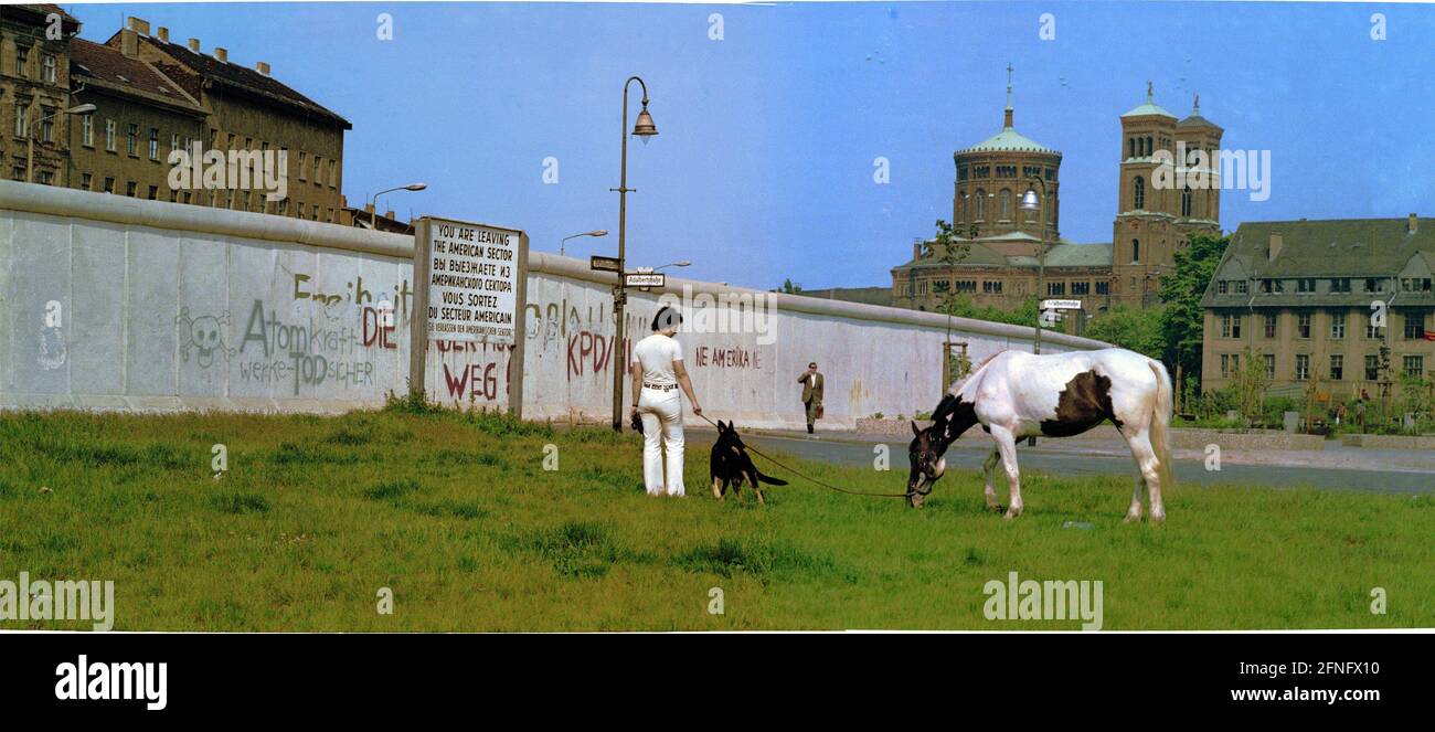 Berlin-Stadtteile / DDR-Mauer / 1983 Kreuzberg, an der Adalbertstraße. Vor der Wand grast ein Pferd. Dahinter liegt Berlin-Mitte. Kreuzberg, eigentlich ein innerstädtischer Stadtteil, liegt am Rande von West-Berlin. // Natur / Tiere / Geschichte / Kommunismus [automatisierte Übersetzung] Stockfoto