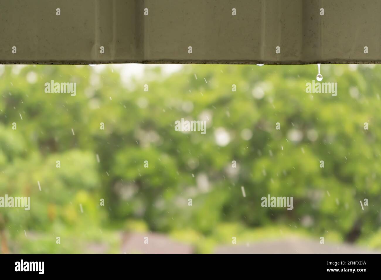 Regen fällt vom Dach mit Bäumen im Hintergrund Stockfoto
