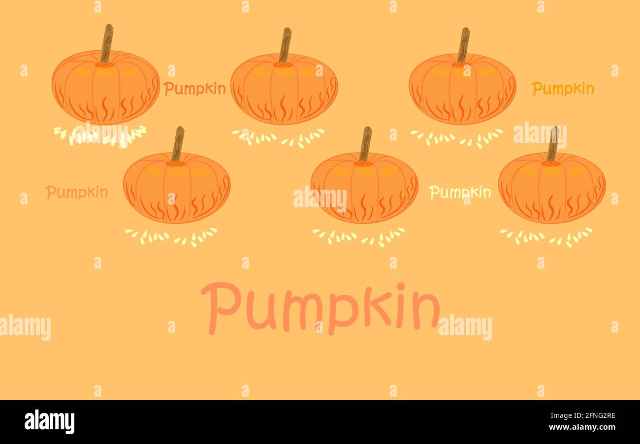 Ganze Orange Runde Kürbis.Herbstgemüse, Samen Stock Vektor