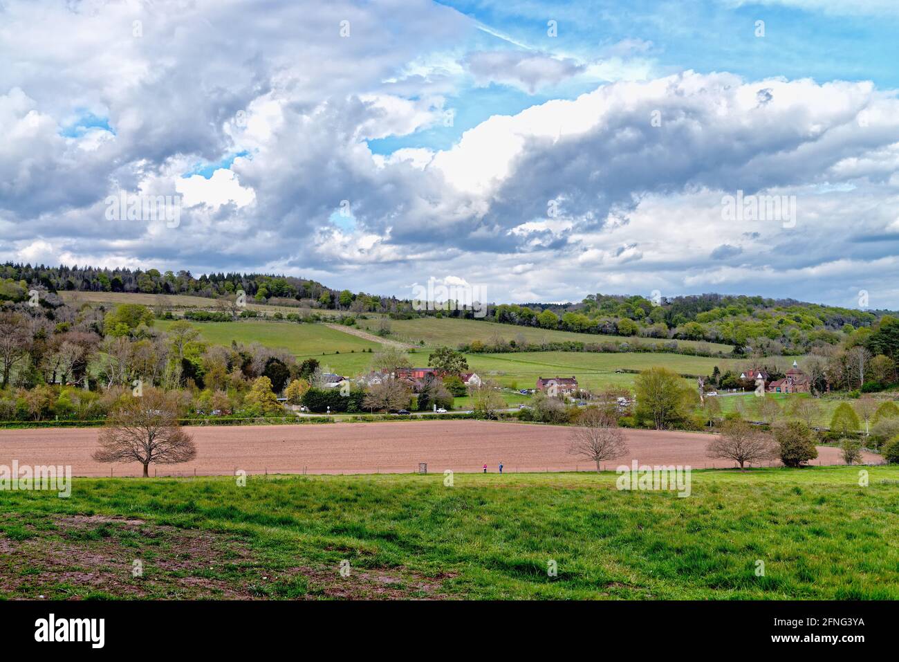 Die North Downs bei Albury in den Surrey Hills in der Nähe Guildford England, Großbritannien Stockfoto