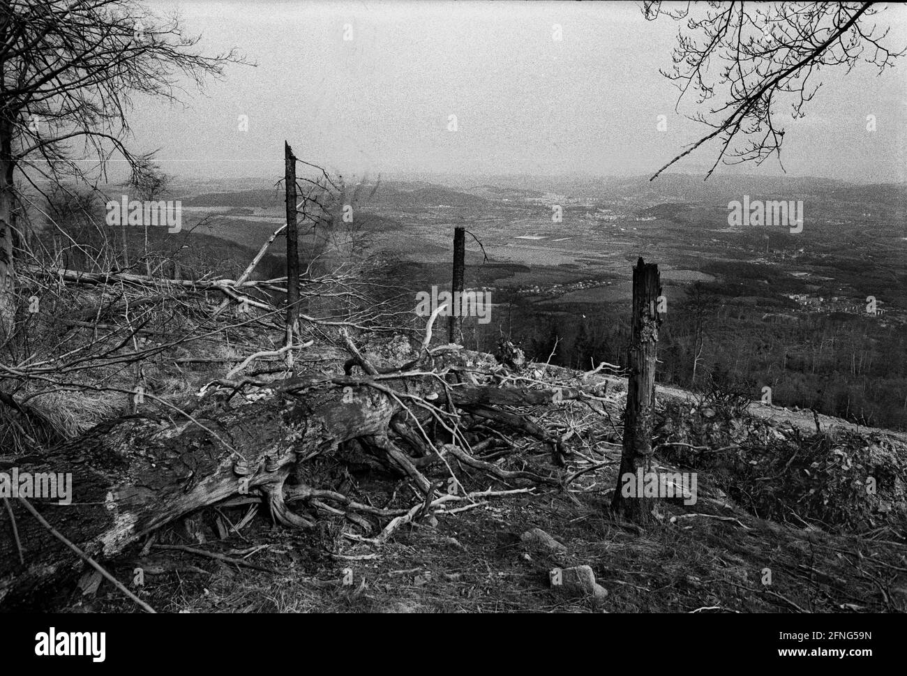 Natur / Landschaft / 1991 Tote Bäume in Tschechien, Grenze zum sächsischen Zinnwald. Die Bäume auf den Hügeln werden alle durch die Abgase der Braunkohlepflanzen zerstört. Auf der deutschen Seite der Grenze sind die toten Bäume weggeräumt worden, auf der tschechischen Seite ist alles zurückgelassen worden. // Natur / Waldeinschlag / Energie / Kohle / Bundesländer / Umwelt [automatisierte Übersetzung] Stockfoto