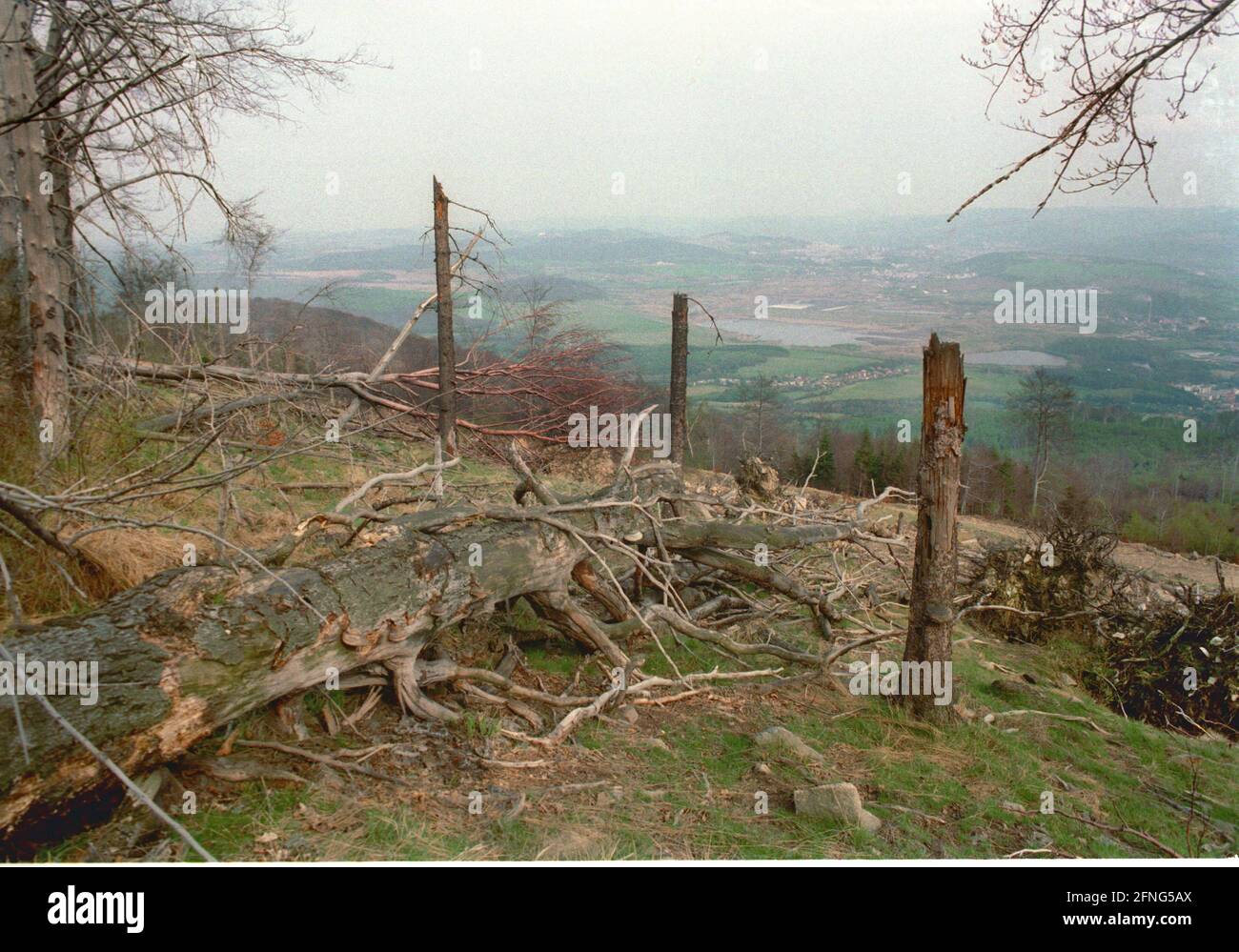 Natur / Landschaft / 1991 Tote Bäume in Tschechien, Grenze zum sächsischen Zinnwald. Die Bäume auf den Hügeln werden alle durch die Abgase der Braunkohlepflanzen zerstört. Auf der deutschen Seite der Grenze sind die toten Bäume weggeräumt worden, auf der tschechischen Seite ist alles zurückgelassen worden. // Natur / Waldeinschlag / Energie / Kohle / Bundesländer / Umwelt [automatisierte Übersetzung] Stockfoto