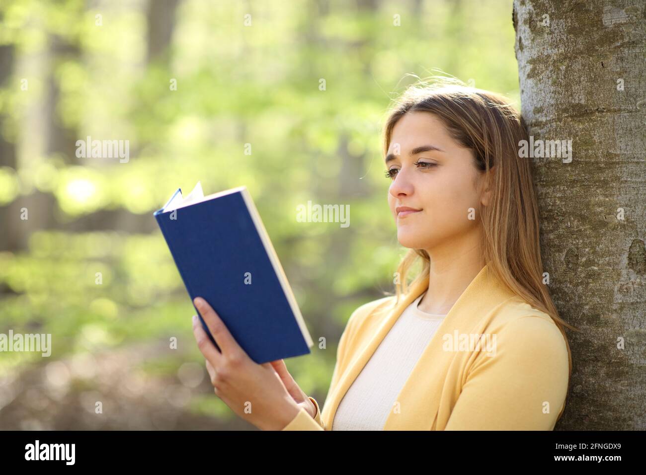 Entspannte Frau, die ein Papierbuch liest, das sich auf einen Baum stützt In einem schönen Wald Stockfoto