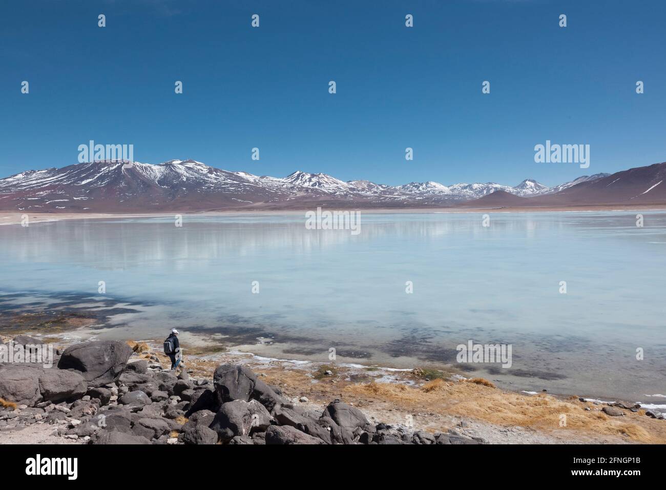 Die beeindruckende Laguna Verde an der Grenze zwischen Chile und Bolivien. Der Zugang erfolgt über Wüstenpfade, normalerweise als Teil einer Überland-Safari-Gruppe Stockfoto