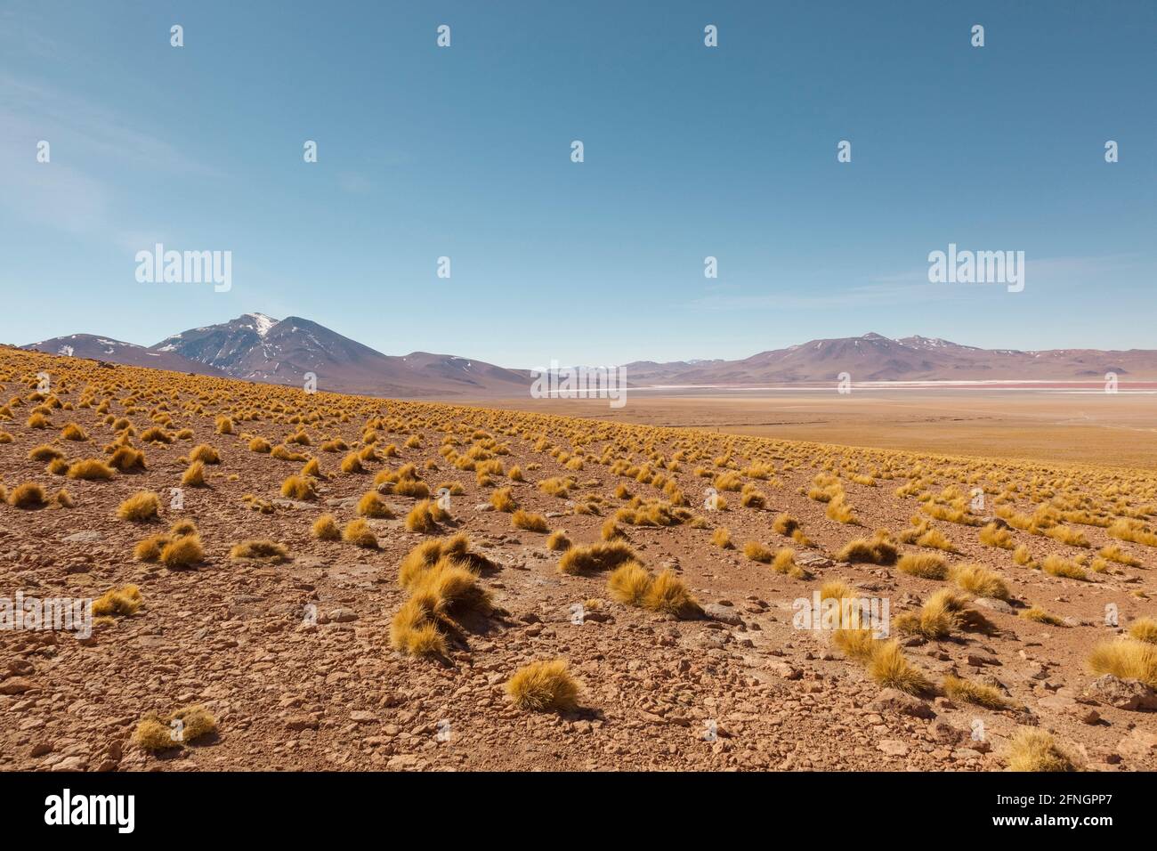 Desertscape, atacama-Wüste, Bolivien Stockfoto