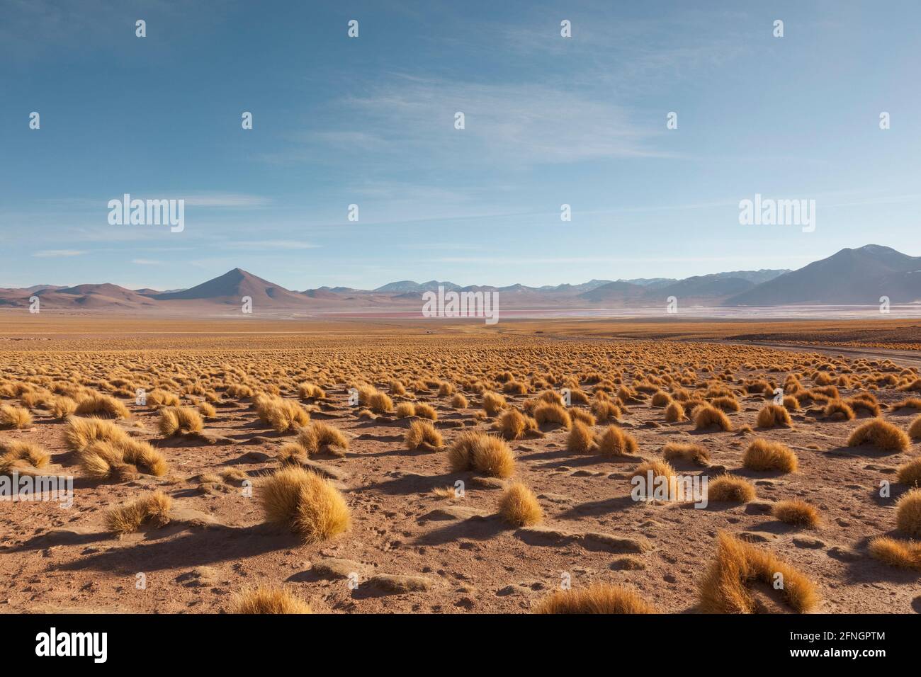 Desertscape, atacama-Wüste, Bolivien Stockfoto