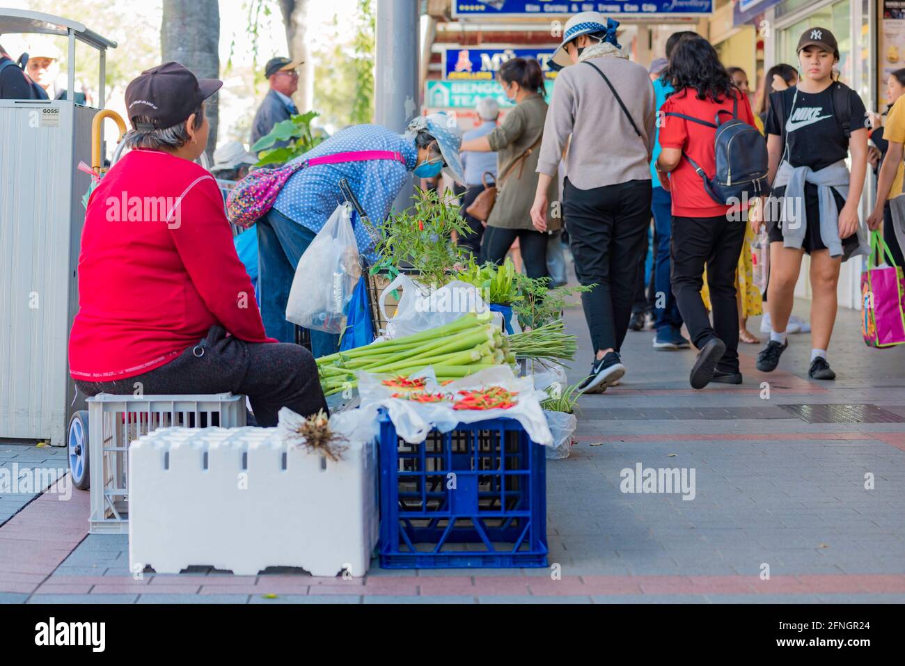 Eine asiatische Frau, die Gemüse und Pflanzen auf der Straße im Vorort Cabramatta in Sydney, Australien, verkauft Stockfoto