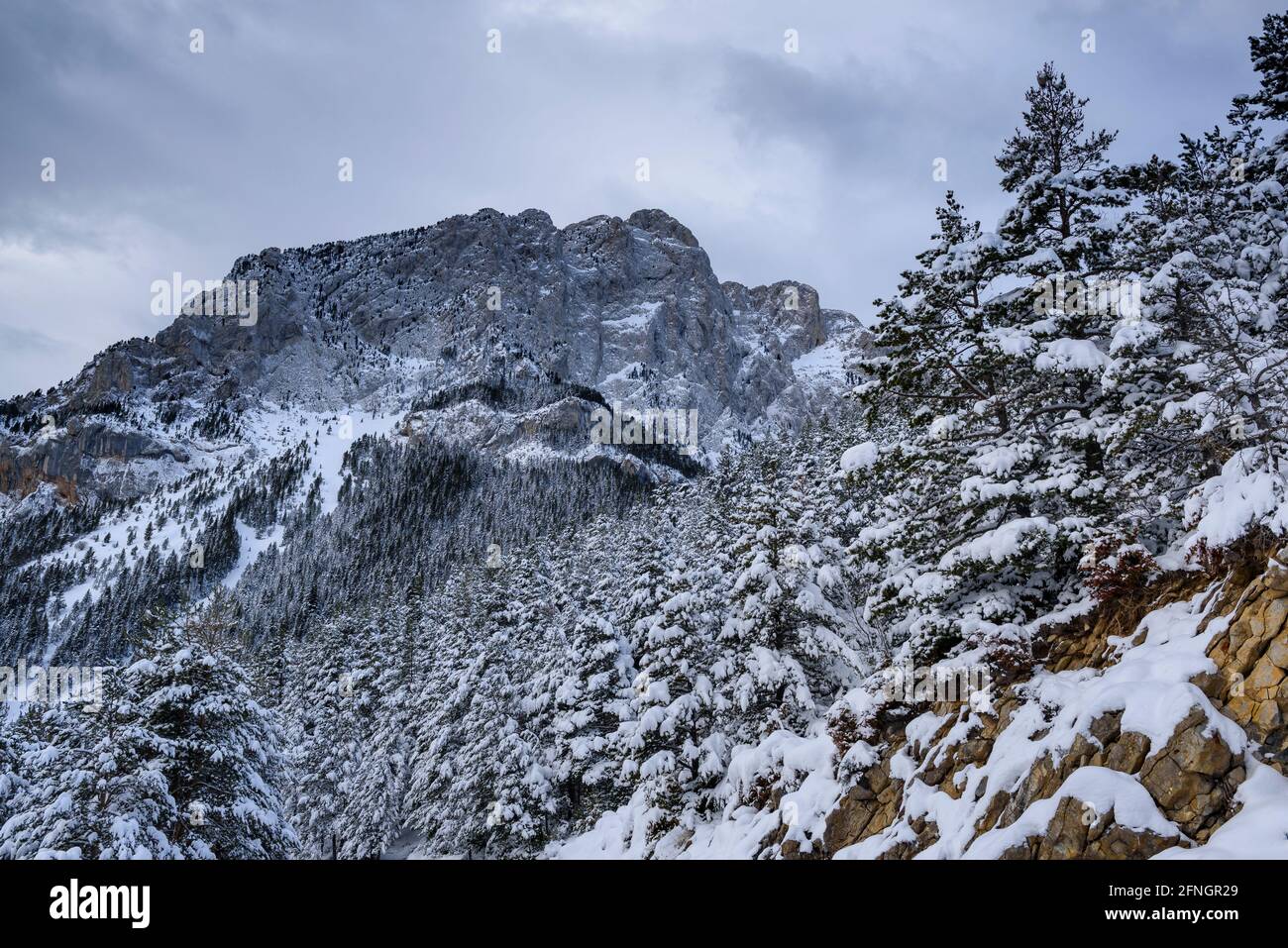 Pedraforca Nordwand vom Aussichtspunkt Gresolet nach einem Winterschnee gesehen (Berguedà, Katalonien, Spanien, Pyrenäen) Stockfoto