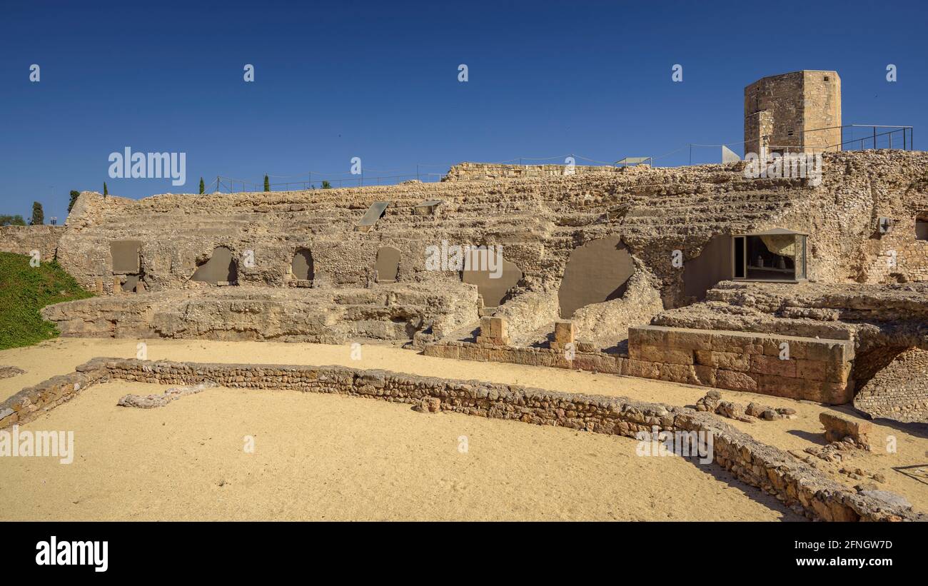 Tarragona antike Stadt. (Tarraco) Ruïns des römischen Zirkus und der mittelalterlichen Stadtmauer (Tarragona, Katalonien, Spanien) Stockfoto