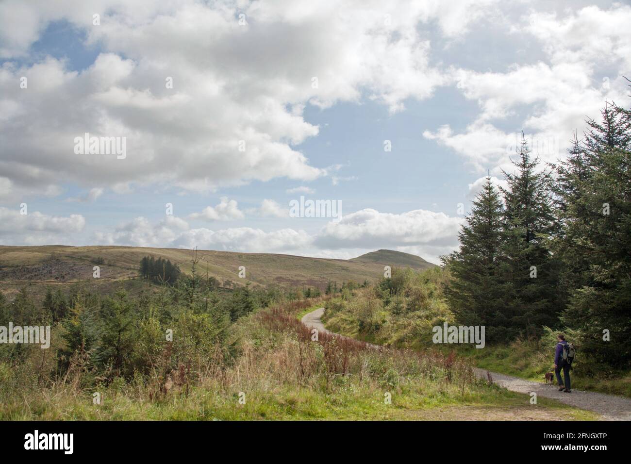 Shutlingsloe von Ness Hill im Macclesfield Forest gesehen Macclesfield Heshire England Stockfoto