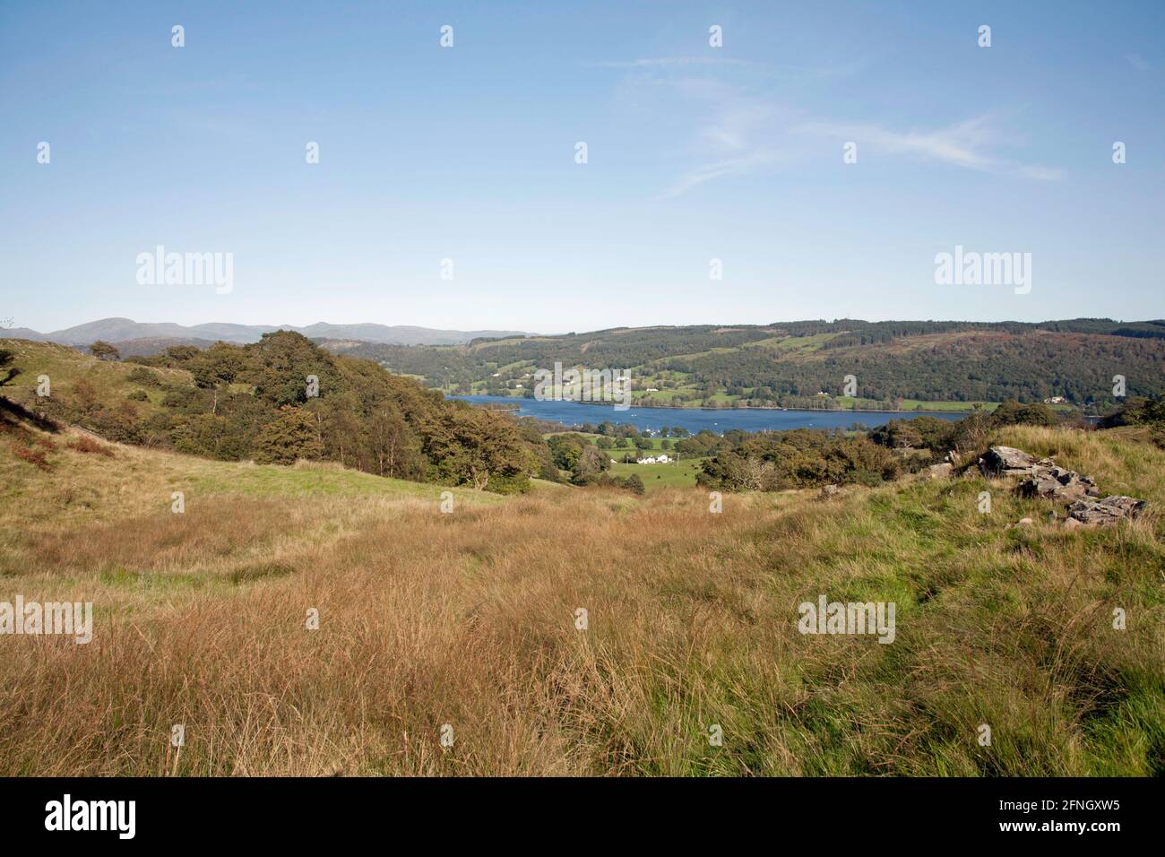 Coniston Wasser von oben gesehen Bleathwaite Weide Coniston Lake District Cumbria England Stockfoto