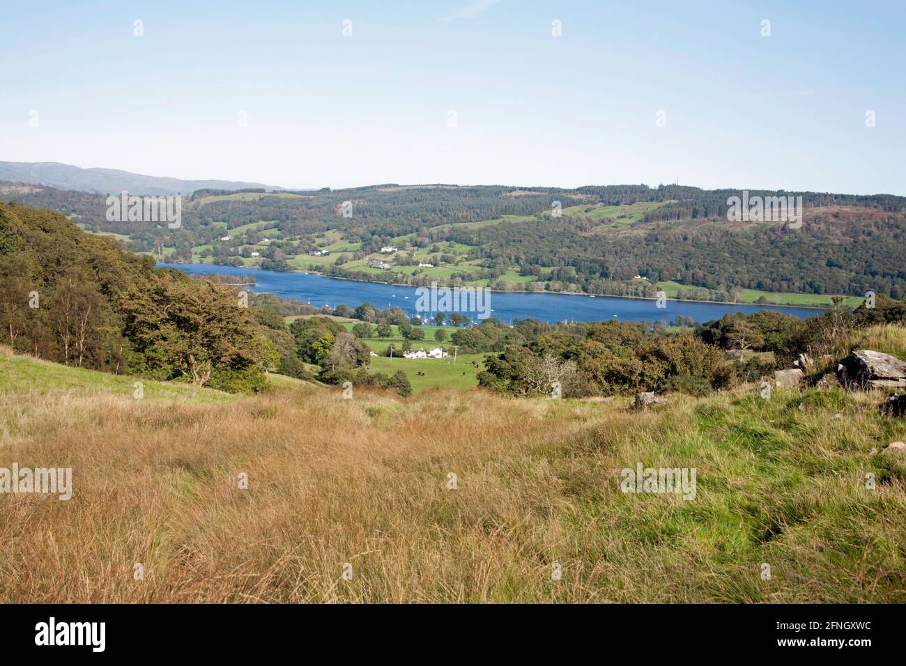 Coniston Wasser von oben gesehen Bleathwaite Weide Coniston Lake District Cumbria England Stockfoto