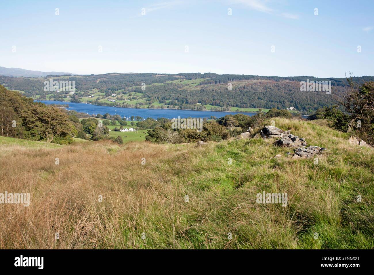 Coniston Wasser von oben gesehen Bleathwaite Weide Coniston Lake District Cumbria England Stockfoto