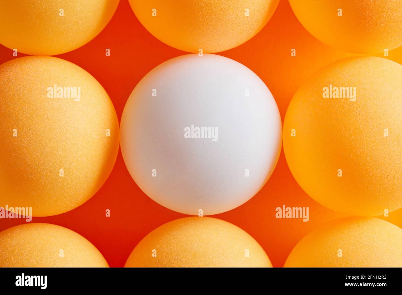 Diversity, Variation, Unterscheidung oder Kontrastkonzept. Weiße Tischtennisball wird von orangefarbenen Ping Pong Lotto-Kugeln umgeben. Makroansicht in Nahaufnahme. Stockfoto