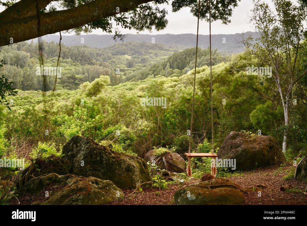 Leere Seilschaukel, die am Baum hängt, auf dem Hügel der Gunstock Ranch bei Sonnenuntergang, Laie, Oahu, Hawaii, USA Stockfoto