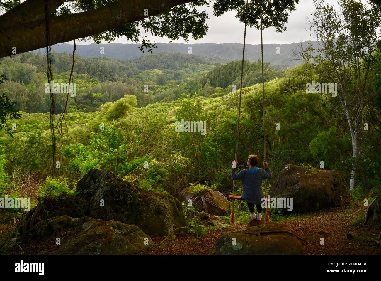 Frau, die auf einer Seilschaukel am Baum sitzt, auf dem Hügel der Gunstock Ranch, bei Sonnenuntergang, Laie, Oahu, Hawaii, USA Stockfoto