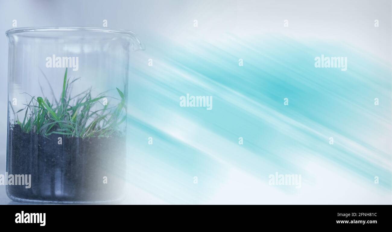 Zusammensetzung des Bechers mit Pflanze, die im Labor mit Bewegung liegt Weichzeichnen Stockfoto