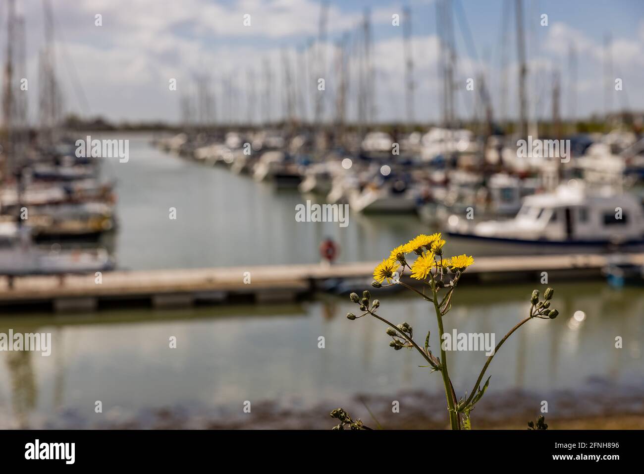 Burnham-on-Crouch Standortfotografie Stockfoto