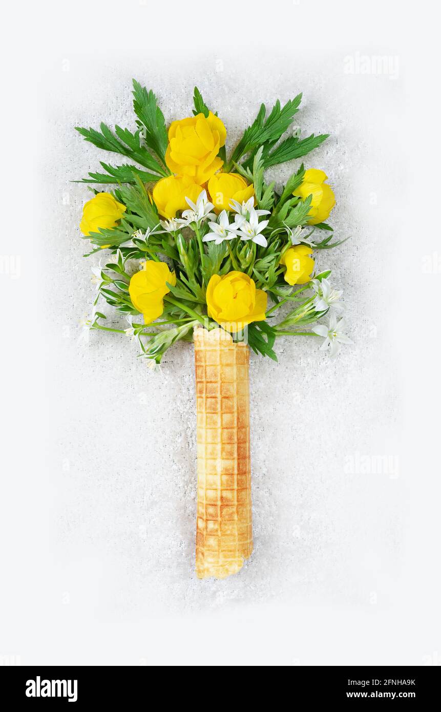 Blumen eines gelben Badeanzuges in einem Waffeleisen auf hellem Hintergrund. Frühjahrskonzept Stockfoto