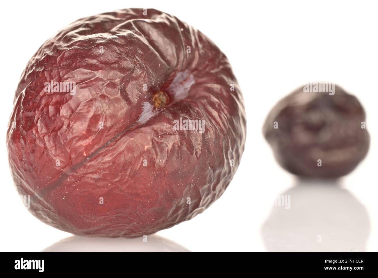 Zwei dunkle getrocknete Pflaumen, Makro, auf weißem Hintergrund. Stockfoto
