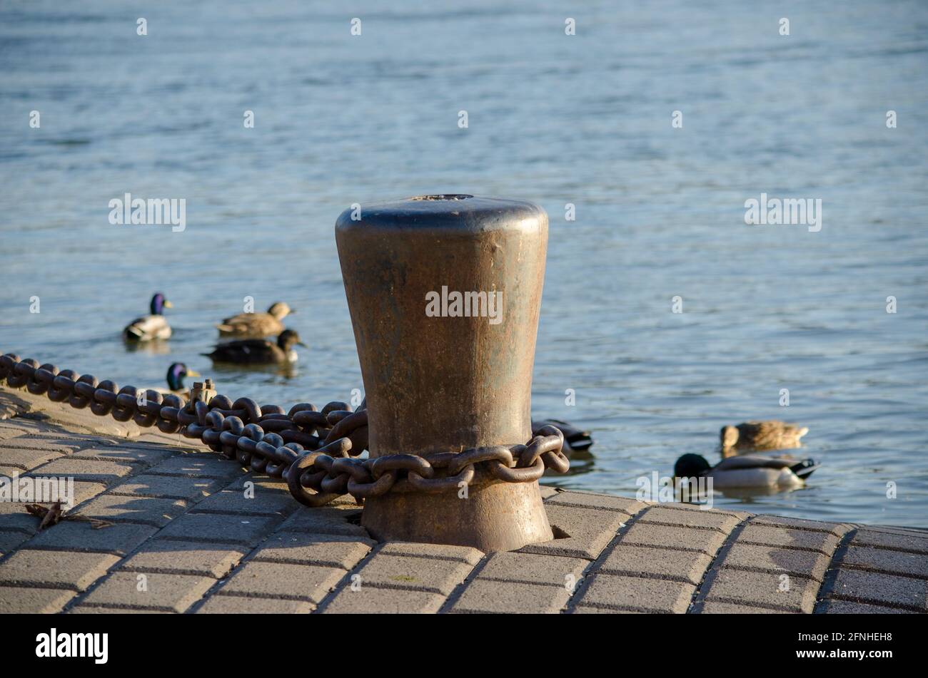 Ein großer Poller, der unter einem Fluss steht, mit einer starken Kette für Boote, einige Enten schwimmen im Hintergrund. Stockfoto