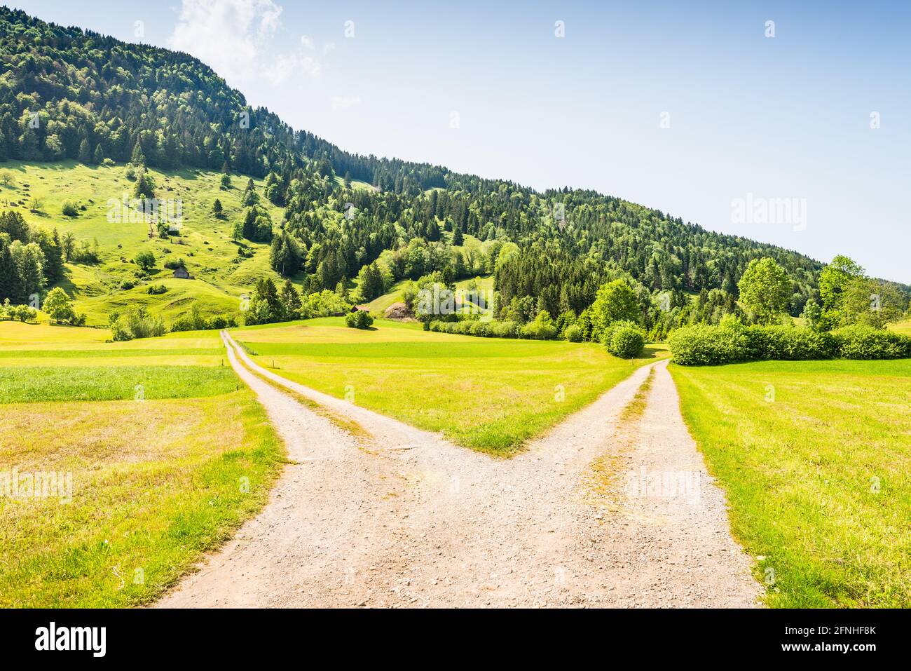 An der Kreuzung der Straßen. Das Symbol soll eine Wahl treffen. Stockfoto