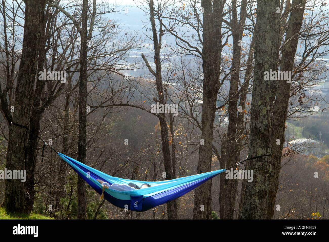 Virginia, USA. Menschen in Hängematten in den Wald. Stockfoto