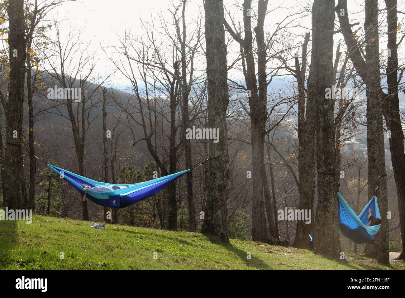 Virginia, USA. Menschen in Hängematten in den Wald. Stockfoto