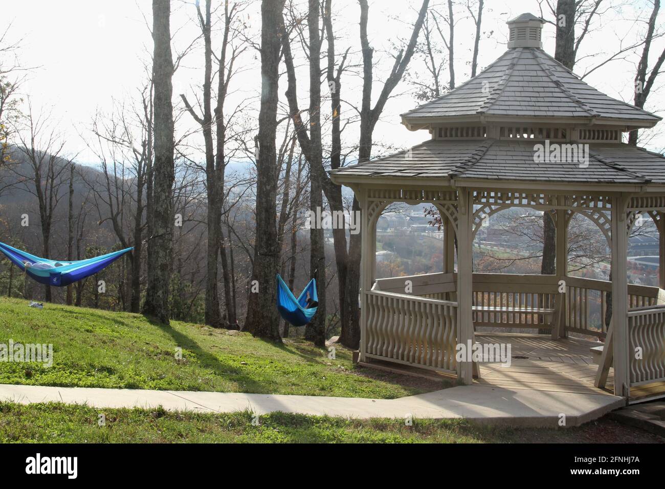 LU Mountain, Virginia, USA. Menschen in Hängematten in den Wald. Stockfoto