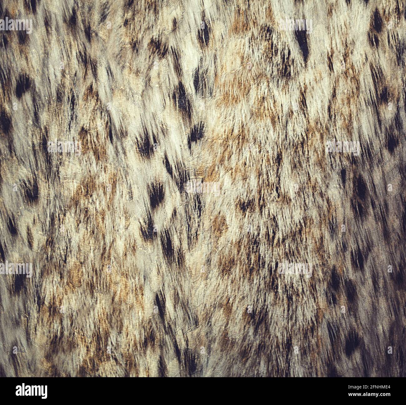 Close up Leopard spot Muster Textur Hintergrund. wallpaper Stockfoto