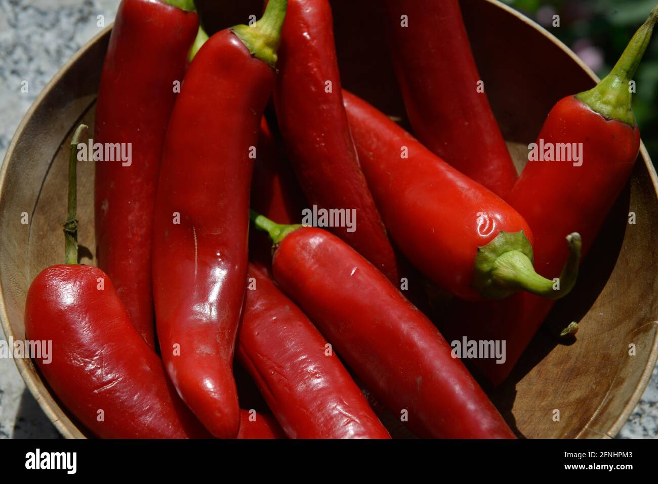 Rote Chilischoten, superheiß, Gewürz, Nahaufnahme, Stillleben, Hintergrund, itäische Küche, Italien Stockfoto