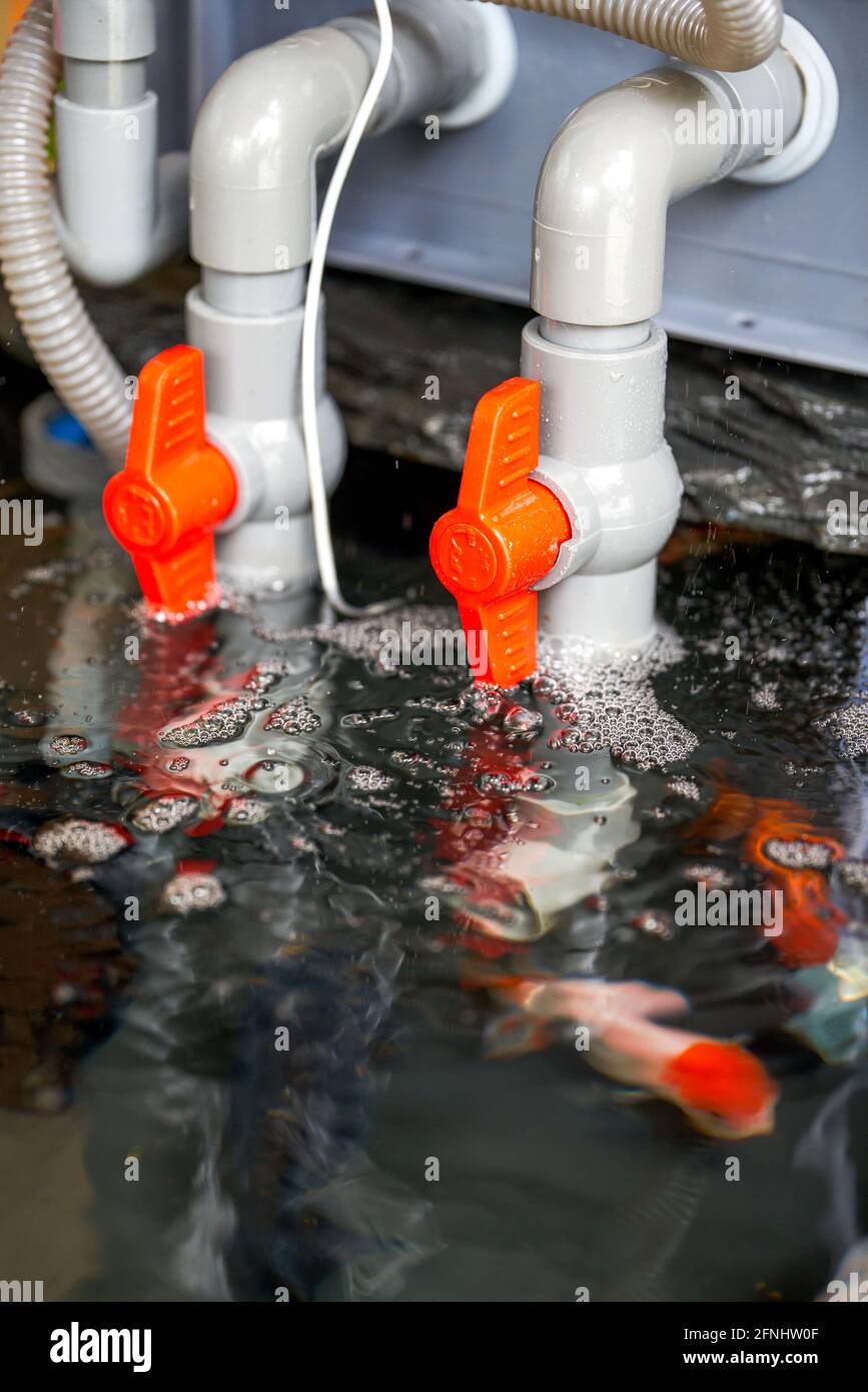 Nahaufnahme der ein- und Auslassventile am Filter Wasserbehälter des  Goldfischbehälters Stockfotografie - Alamy
