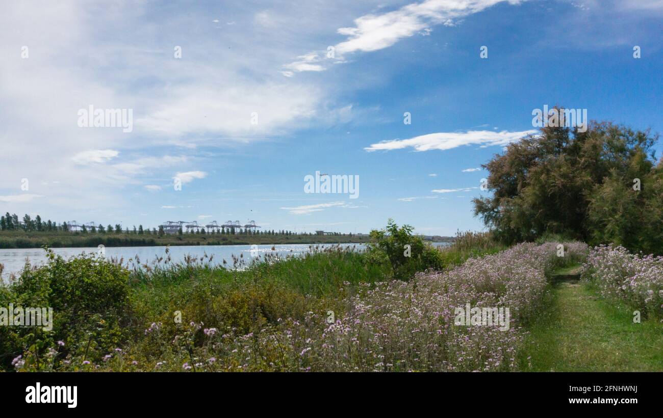 Naturpark am Stadtrand von barcelona in spanien. El prat del llobregat Stockfoto