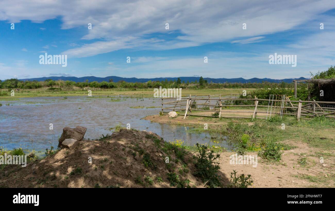 Naturpark am Stadtrand von barcelona in spanien. El prat del llobregat Stockfoto