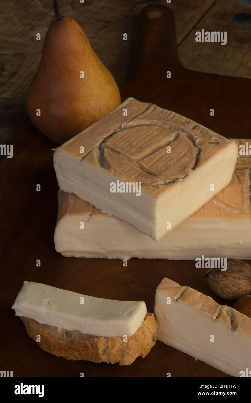 Taleggio DOP, Weichkäse, geschnitten, Stillleben, Hintergrund, Berge, italienischer Käse, italienische Küche, Italien Stockfoto