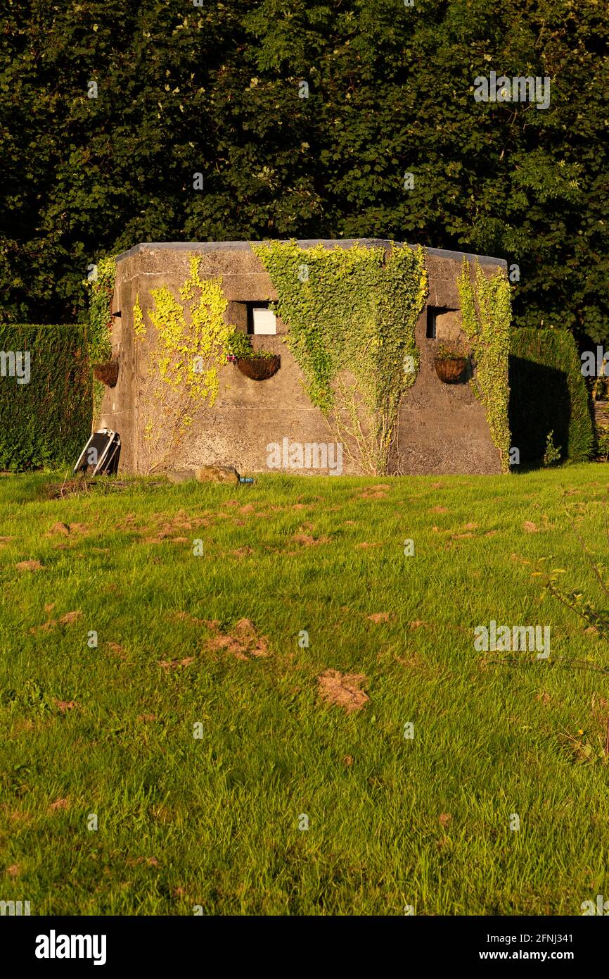 2. Weltkrieg Pillbox in der Nähe von Newton in Cartmel in Cumbria, England. Der Kriegsremanant hat Blumenkörbe und Reben auf seiner Betonfassade. Stockfoto