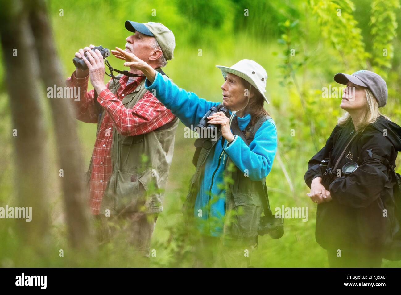 Vogelbeobachter während der Frühjahrswalderwanderung Stockfoto