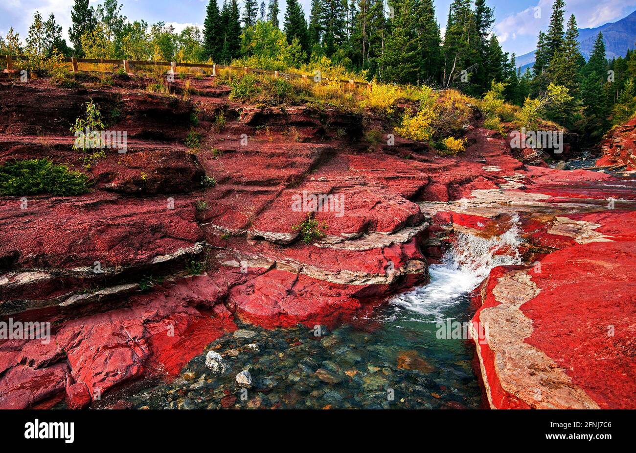Red Rock Canyon, Waterton Lakes National Park, Alberta, Kanada; die Schichten aus roten und grünen Mineralien bieten einen brillanten Kontrast zueinander Stockfoto